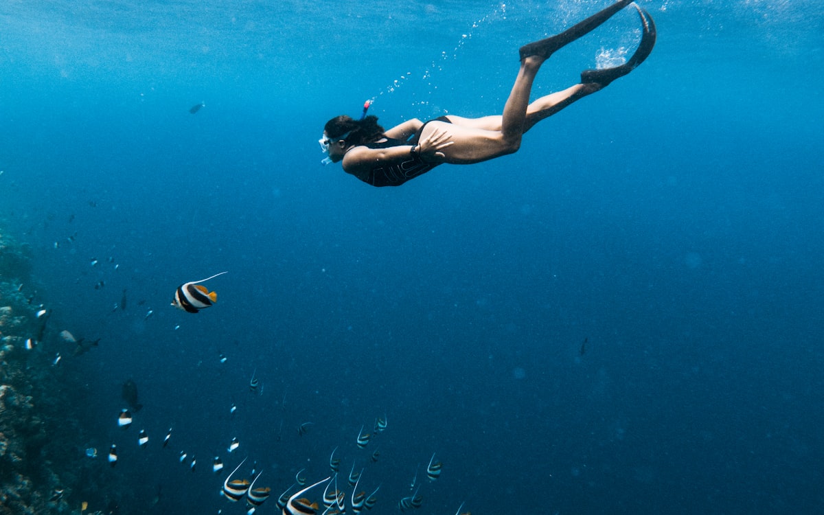 Persona haciendo snorkel entre peces en aguas azules